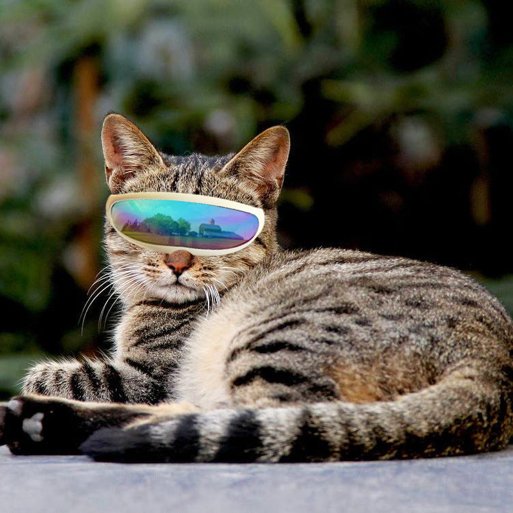 Pet Dog UV Protection Goggles, Dog Sunscreen Sunglasses