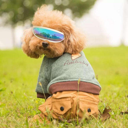 Pet Dog UV Protection Goggles, Dog Sunscreen Sunglasses