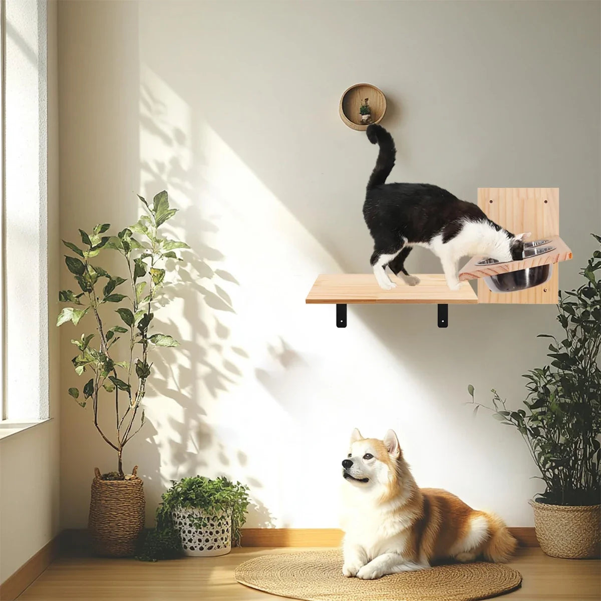 Cat Wall Shelves Cats Feeding Shelf with 2 Stainless Steel Bowls Wood Perch Suitable for Kitten Play Nap Eat Pet Wall Furniture