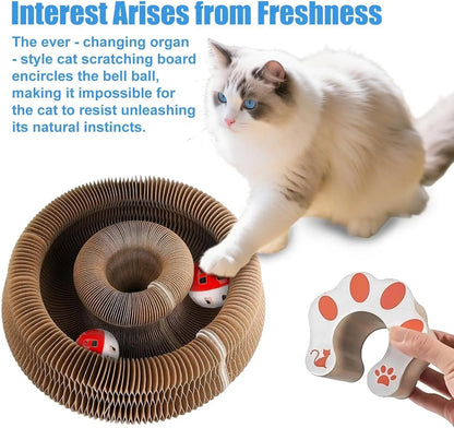 2-Pack Magic Organ Cat Toy | Kitty Curls Cat Toy | Reversible Cat Scratcher Pad with Bell Balls, Corrugated Cardboard Scratching