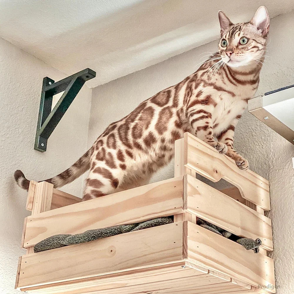 Wall Mounted Cat Wooden Basket Cat Shelf Perch Bed Sleeping Hammock Climbing Scratching Post Step Modern Cats Wall Furniture