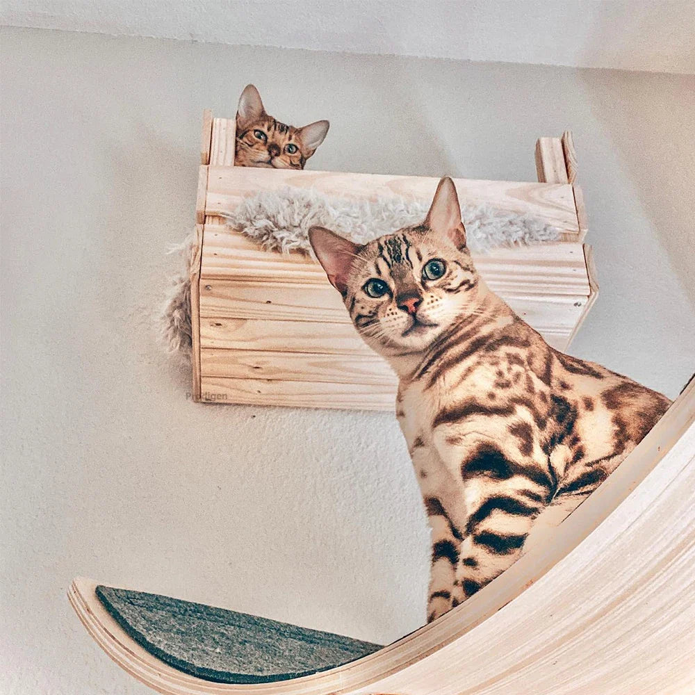 Wall Mounted Cat Wooden Basket Cat Shelf Perch Bed Sleeping Hammock Climbing Scratching Post Step Modern Cats Wall Furniture