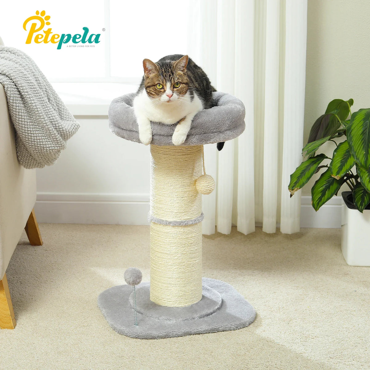 Flower Small Cat Tree Cat Scratching Post for Indoor with Super Thick Natural Sisal Post Pink Stable Removable Perch Mat Balls