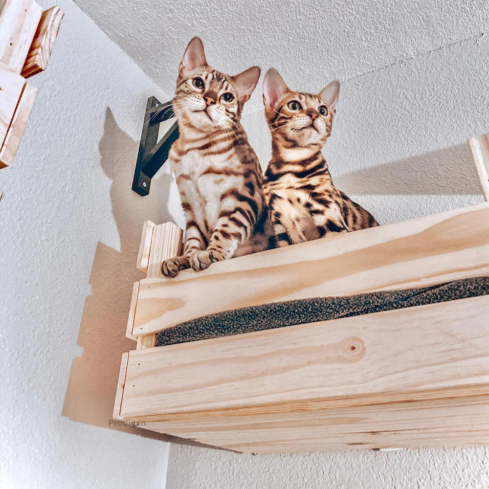 Wall Mounted Cat Wooden Basket Cat Shelf Perch Bed Sleeping Hammock Climbing Scratching Post Step Modern Cats Wall Furniture