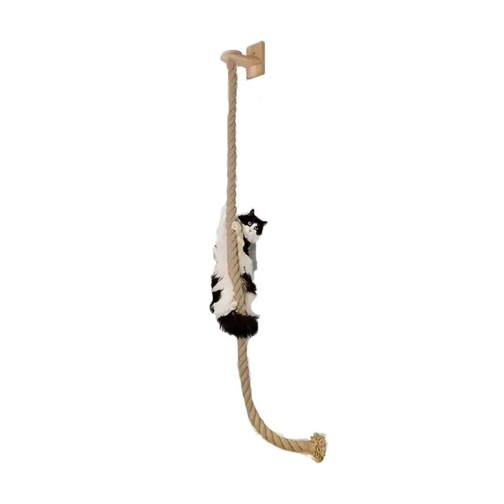 Cat ladder made of natural pine wood with thick twisted sisal rope mounted on white wall with a cat climbing it