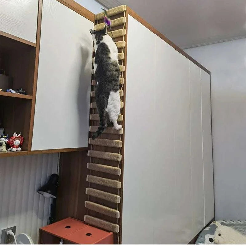 Cat ladder made of natural wood and sisal rope mounted vertically on a wall with a cat climbing on it