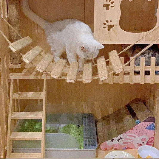 Cat ladder made from natural wood and sisal rope with wooden steps and platforms, featuring a white cat climbing on it