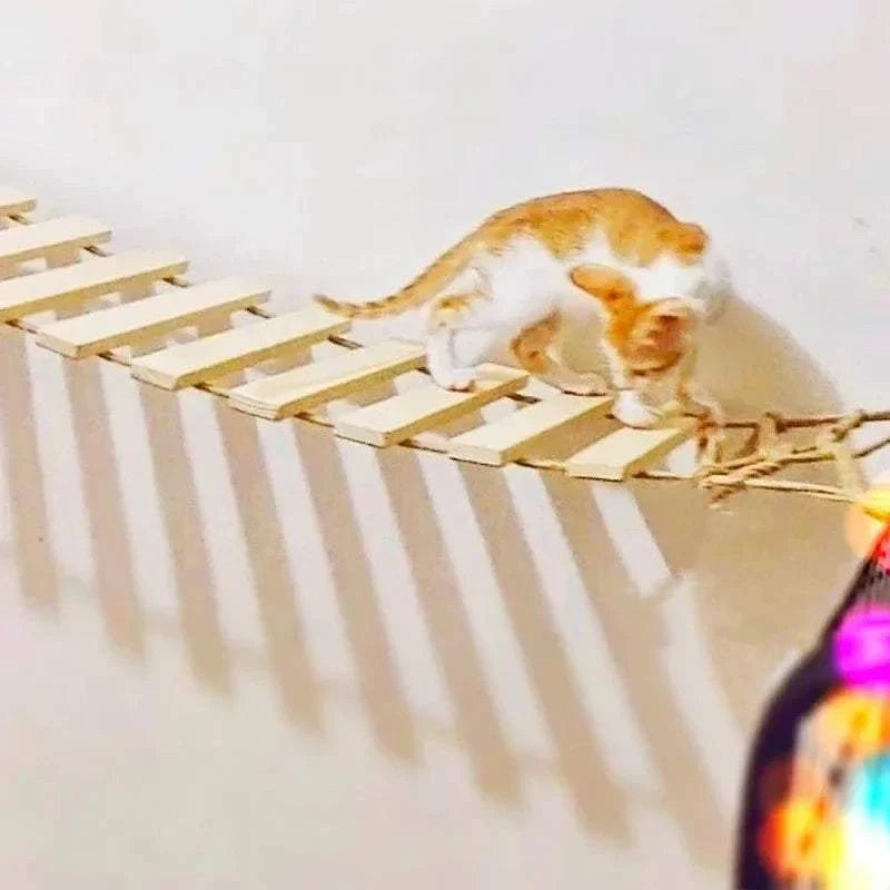 Cat ladder made of natural pine wood and sisal rope with spaced wooden slats and a cat walking on it